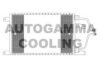 AUTOGAMMA 101807 Condenser, air conditioning